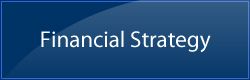 Financial Strategy