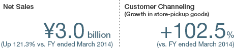 Online Sales Progress