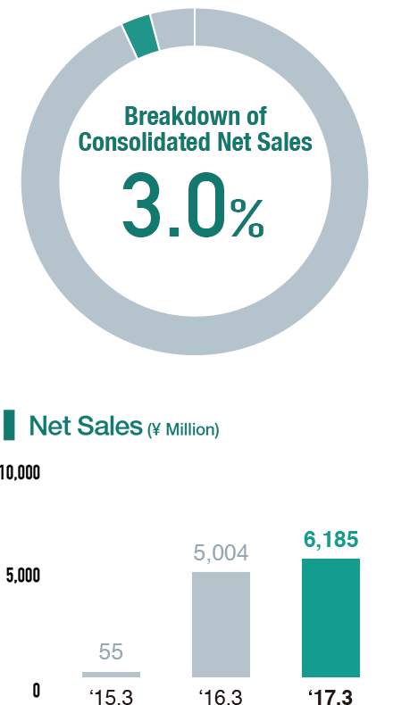 Breakdown of Consolidated Net Sales 3.0%