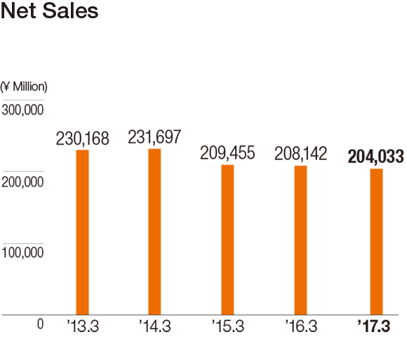 Net Sales